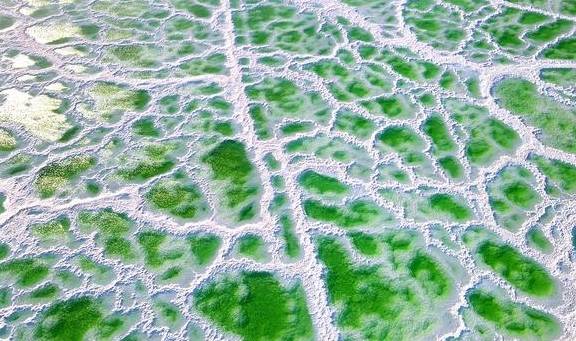 原创 青甘环线自驾游系列︱西部之西,极致柴达木 美图及路线篇5