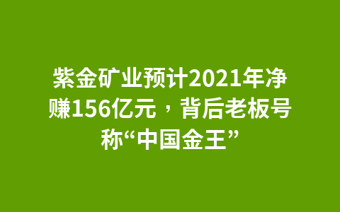 紫金矿业预计2021年净赚156亿元,背后老板号称“中国金王”1