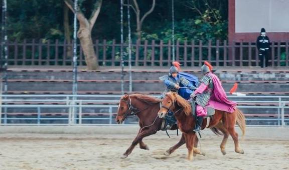 原创 无锡一座以四大名著为主的景区，马术杂技演出不断，游客直呼精彩4
