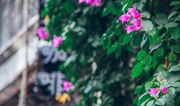 原创 中国受老年人喜爱的4个城市，风景美，医疗条件好，太适合养老了1