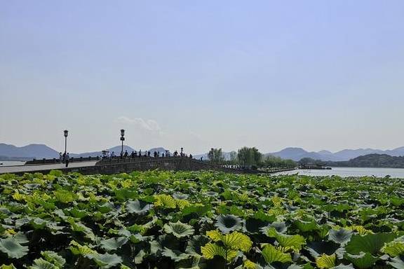 原创 中国受老年人喜爱的4个城市，风景美，医疗条件好，太适合养老了6