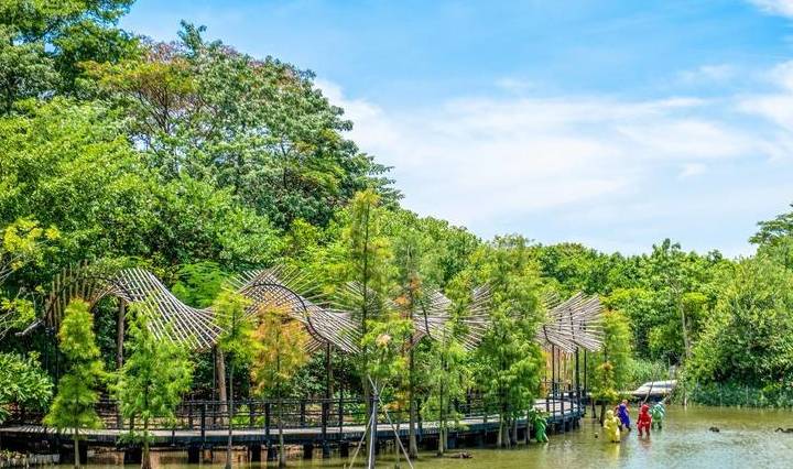 原创 广东最适合赏鸟的好去处，超适合亲子游，在此能与动植物亲密接触1