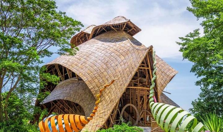 原创 广东最适合赏鸟的好去处，超适合亲子游，在此能与动植物亲密接触2