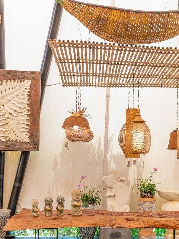 原创 广东最适合赏鸟的好去处，超适合亲子游，在此能与动植物亲密接触3