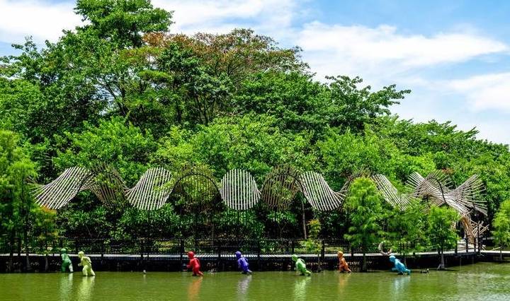 原创 广东最适合赏鸟的好去处，超适合亲子游，在此能与动植物亲密接触6