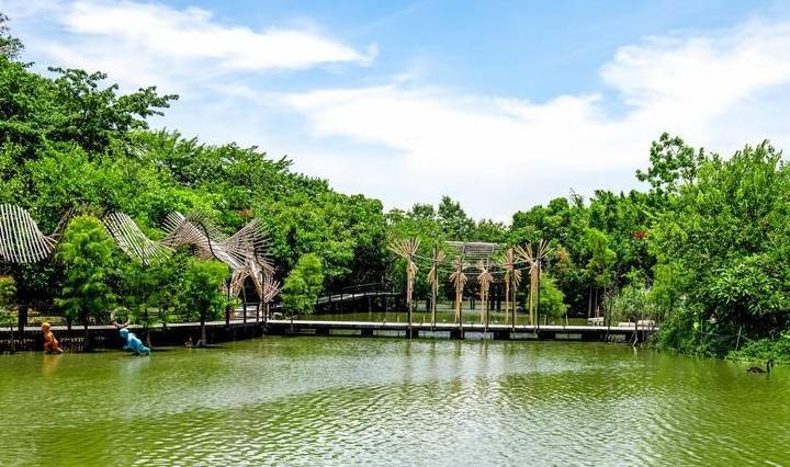 原创 广东最适合赏鸟的好去处，超适合亲子游，在此能与动植物亲密接触7