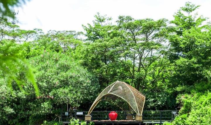 原创 广东最适合赏鸟的好去处，超适合亲子游，在此能与动植物亲密接触10