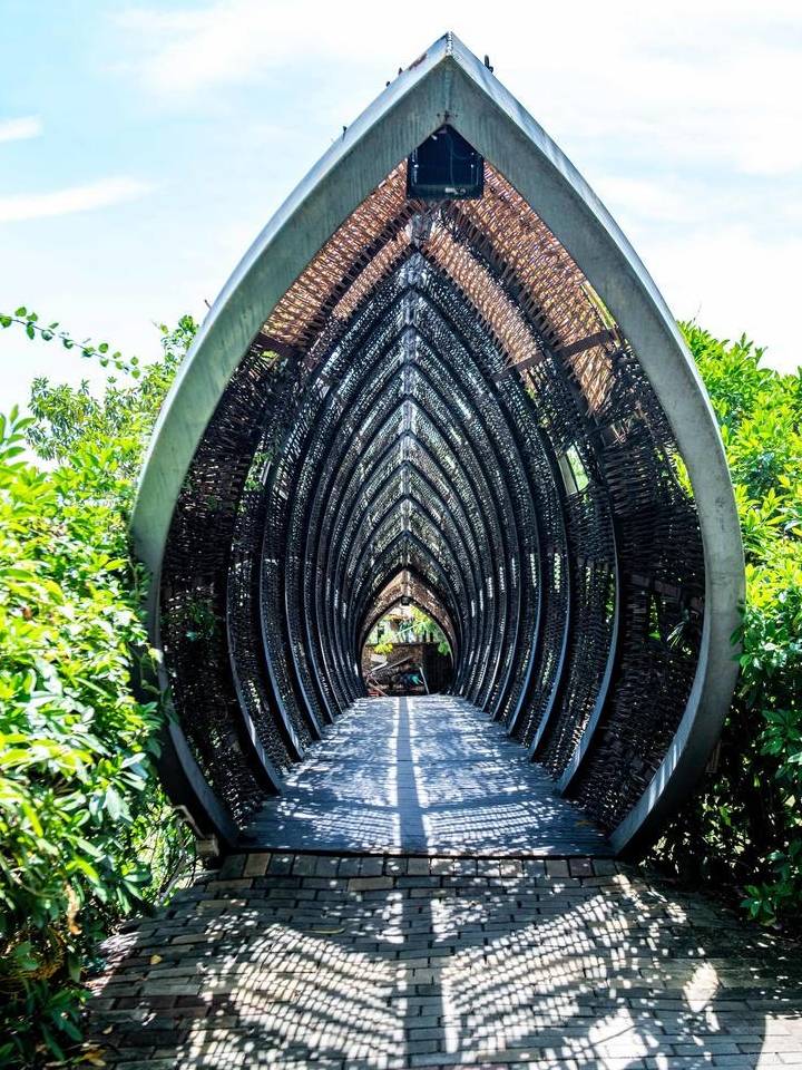 原创 广东最适合赏鸟的好去处，超适合亲子游，在此能与动植物亲密接触13