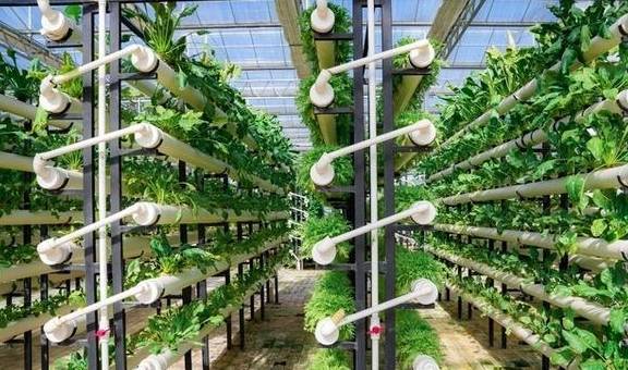 原创 全南攀岩主题小镇,亲子度假的秘密花园9