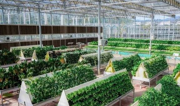 原创 全南攀岩主题小镇,亲子度假的秘密花园10