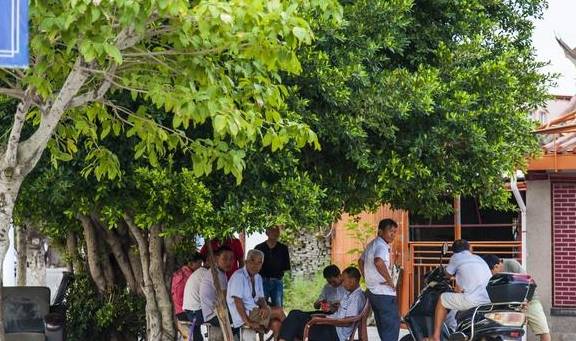 原创 大量东北人去南方养老，福建最受欢迎2座城市，你会考虑哪一个？9