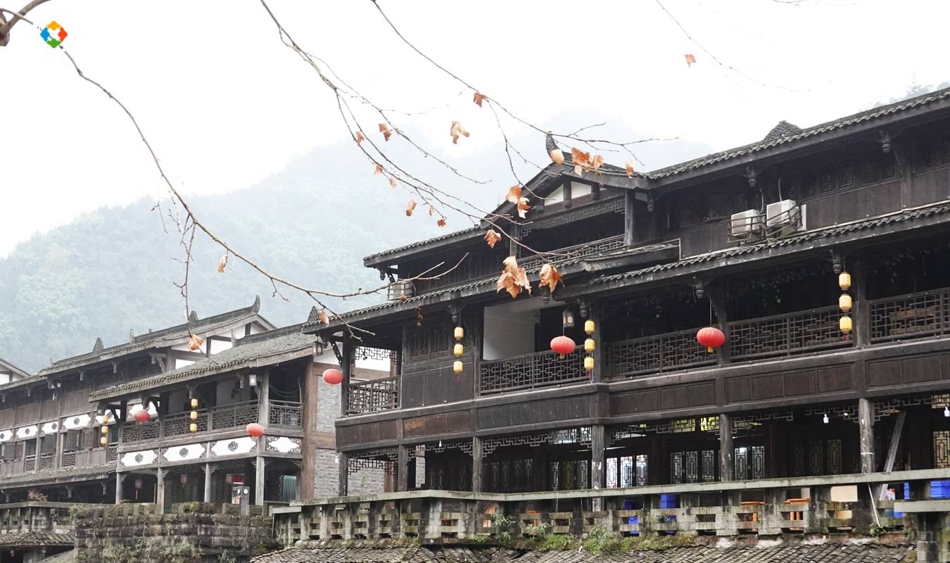 原创 重庆难得的滑雪胜地,老牌的5A景区,南川金佛山值不值得去?2