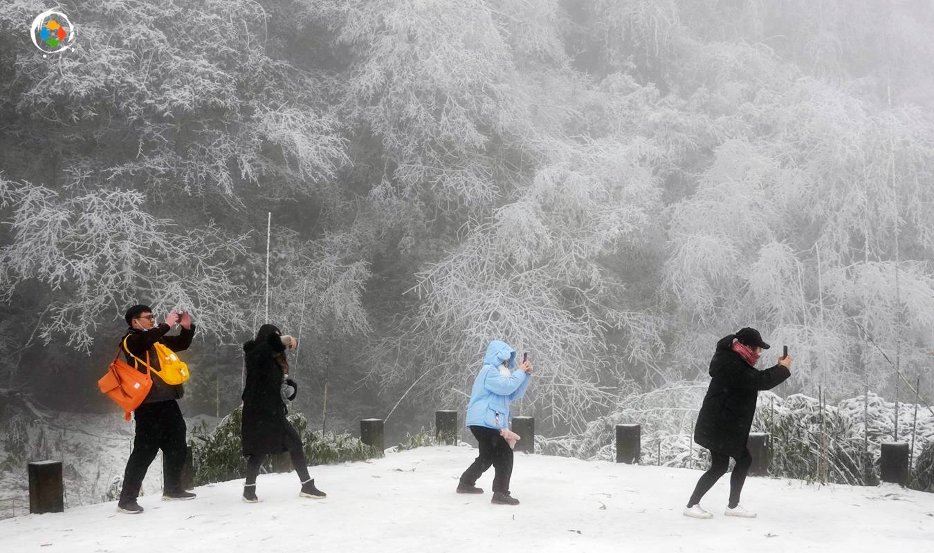 原创 重庆难得的滑雪胜地,老牌的5A景区,南川金佛山值不值得去?11