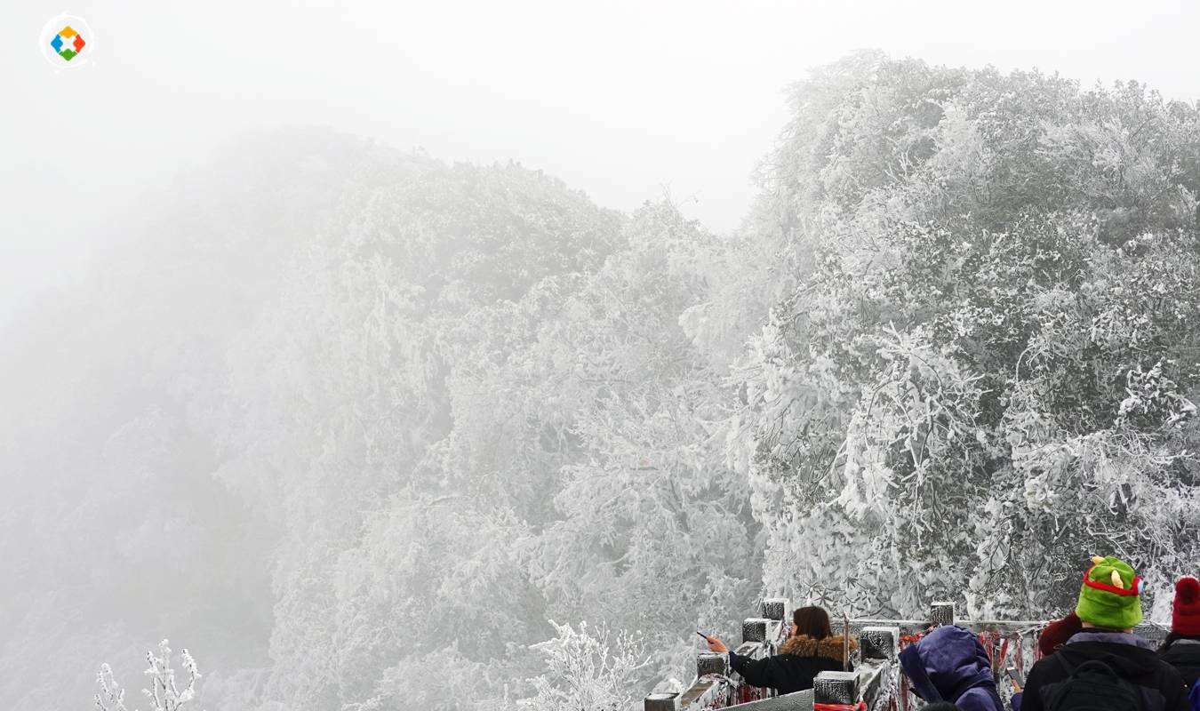 原创 重庆难得的滑雪胜地,老牌的5A景区,南川金佛山值不值得去?10