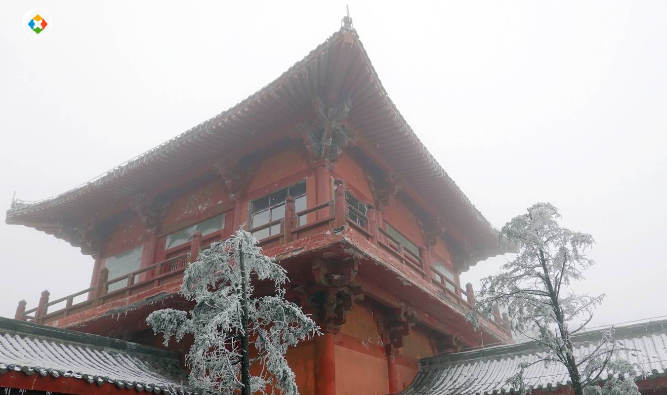 原创 重庆难得的滑雪胜地,老牌的5A景区,南川金佛山值不值得去?12