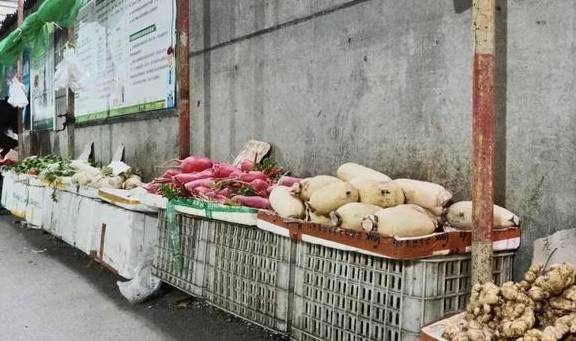 原创 双桥路腹地，生长出一个野生菜市7