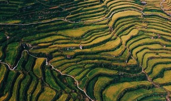 劳斯莱斯CEO称疫情让豪车销量猛增,何小鹏:这是新型口红效应?3