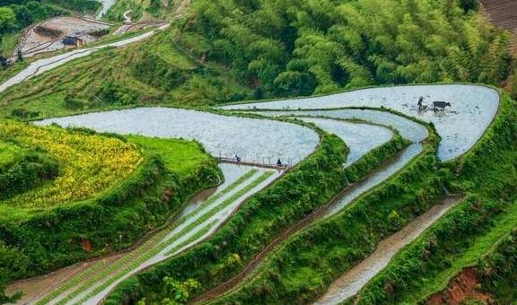 原创 曾上榜 CNN、《中国国家地理杂志》这座浙西小县城原来这么美11