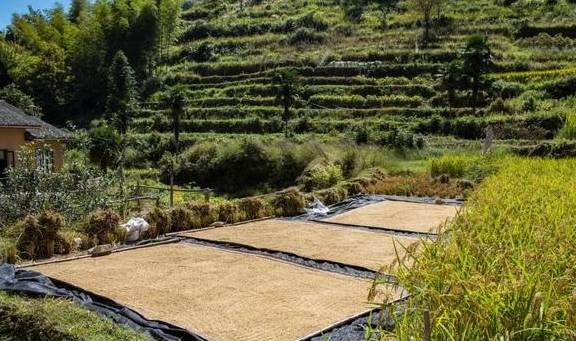 原创 曾上榜 CNN、《中国国家地理杂志》这座浙西小县城原来这么美17