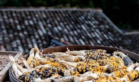 原创 曾上榜 CNN、《中国国家地理杂志》这座浙西小县城原来这么美18