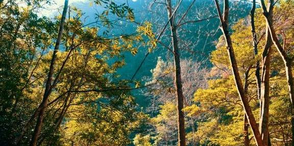 原创 浙江小城居然嗜辣如命!凭11处美景上榜,人们却只知道吃?6