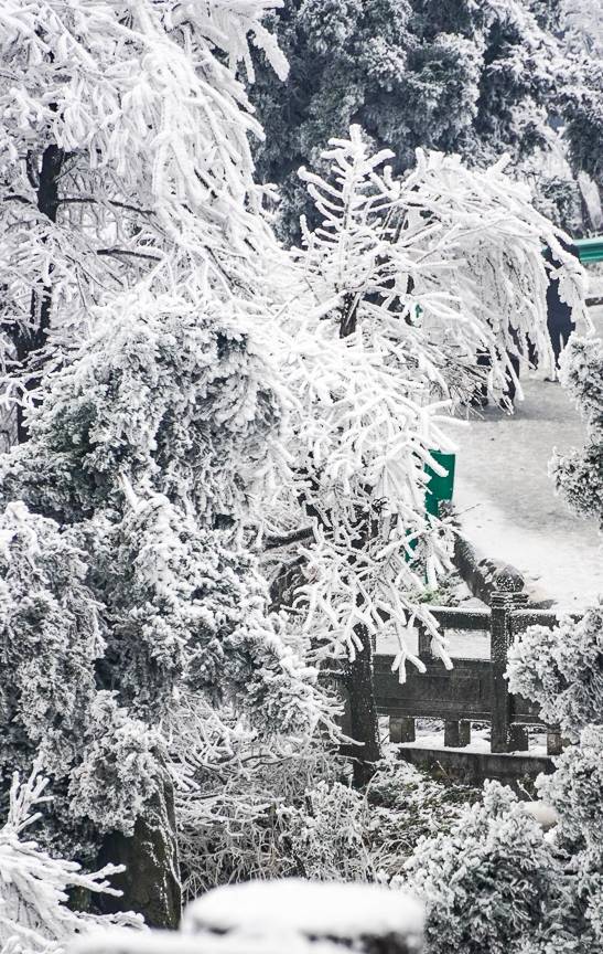 原创 南岳衡山的雾凇璀璨夺目,每年都有这些攻略不可错过8