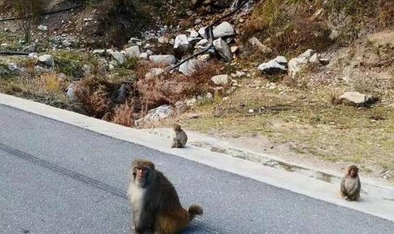 原创 1条西藏进阶秘线,带你探访最神秘的冰川、美若桃源的边城亚东5