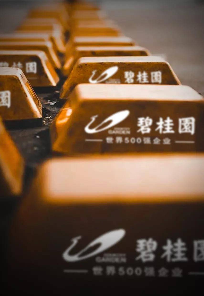 原创 39亿港元可转债成功发行：穿越周期，碧桂园探路高质量发展1