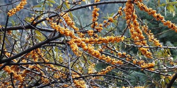 原创 藏在云南最西边的处女秘境，鲜少有人踏足，去过可以炫耀一辈子2
