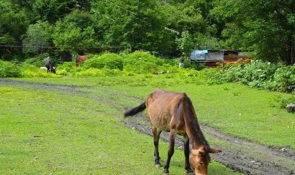 原创 藏在云南最西边的处女秘境，鲜少有人踏足，去过可以炫耀一辈子3