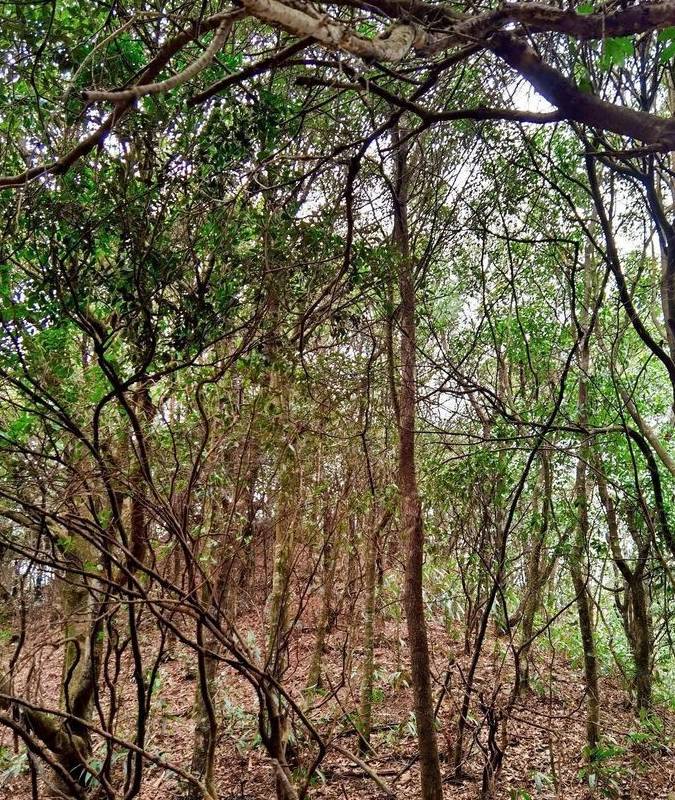 原创 发现赣南之美7