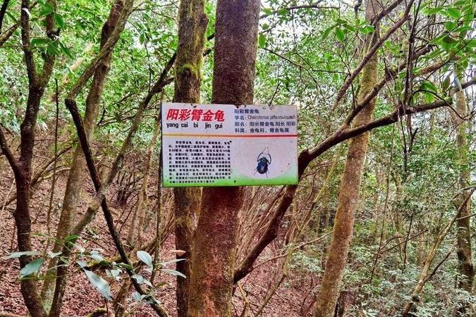 原创 发现赣南之美8