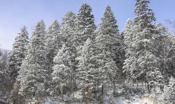原创 白山抚松藏着个“木屋村落”,落泪的风景连绵,去这里返璞归真吧4