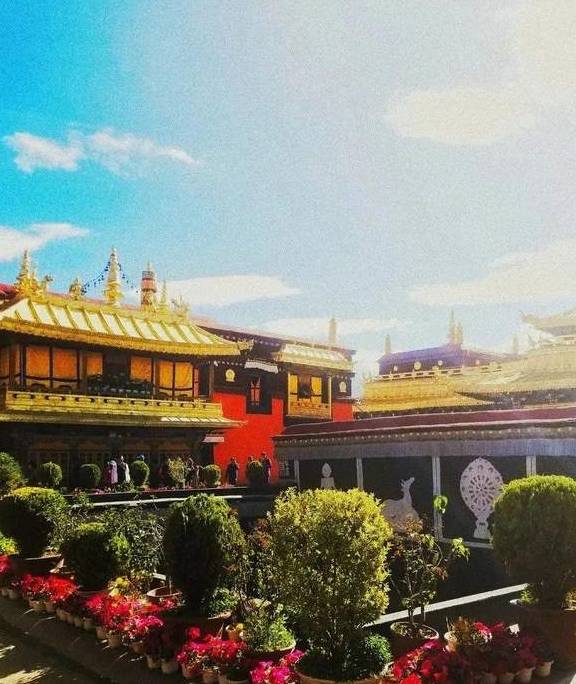 原创 晒太阳、喝甜茶、文艺CityWalk……日光之城拉萨,太适合过冬了!8