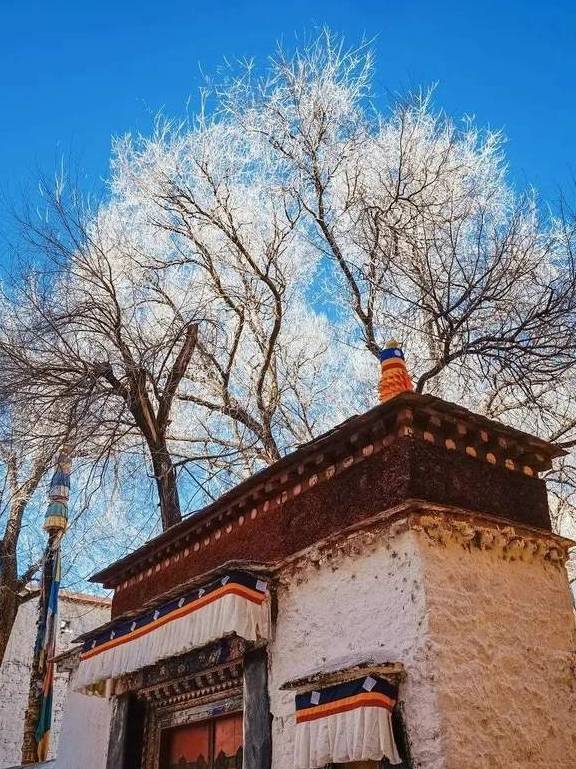 原创 晒太阳、喝甜茶、文艺CityWalk……日光之城拉萨,太适合过冬了!16