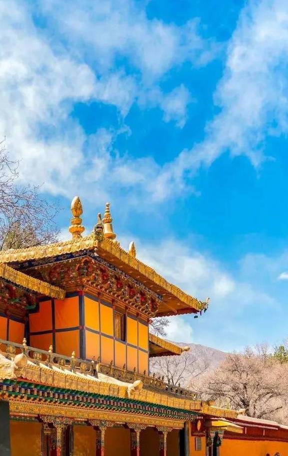 原创 晒太阳、喝甜茶、文艺CityWalk……日光之城拉萨,太适合过冬了!37