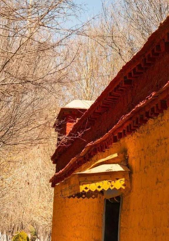 原创 晒太阳、喝甜茶、文艺CityWalk……日光之城拉萨,太适合过冬了!38