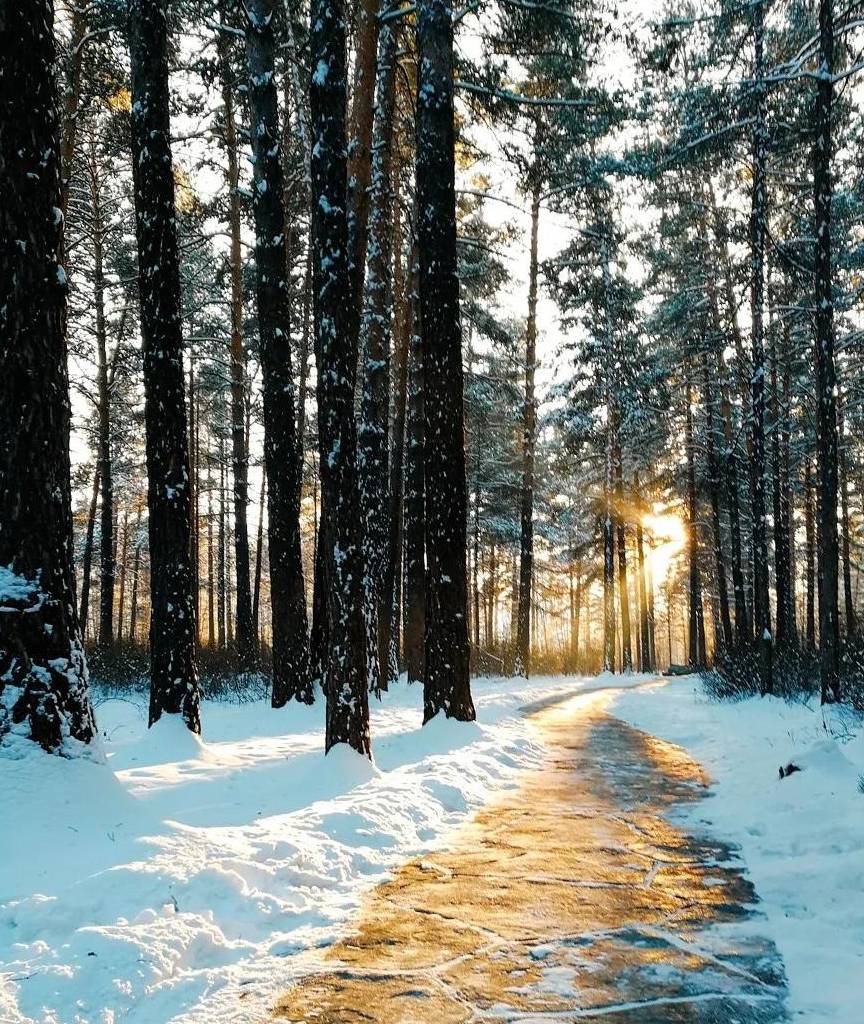 原创 千万别去中国最北县城找北，压根找不到9