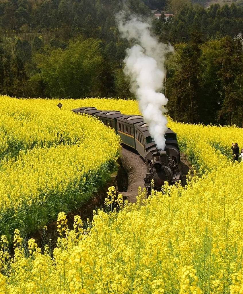 原创 15个一个人也要去的旅行地,余生一个个走遍不枉此生!41
