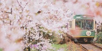 原创 “盛产”美女的东枝,即将诞生一个网红景点,是小姐姐们的最爱1