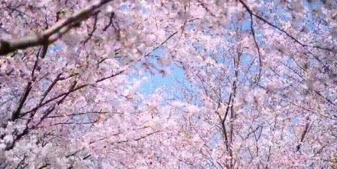 原创 被误认为倒闭的国产品牌,现新疆建120条生产线,还与腾讯有合作3