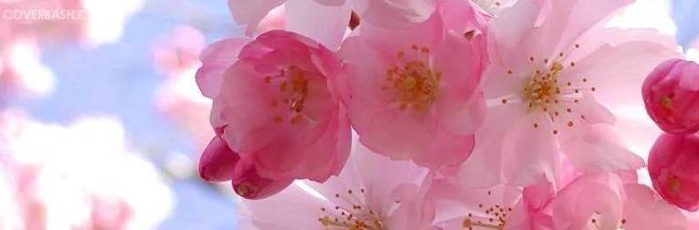 原创 被误认为倒闭的国产品牌,现新疆建120条生产线,还与腾讯有合作4