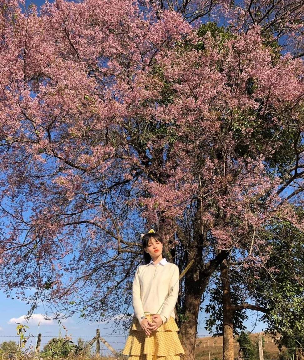 原创 “盛产”美女的东枝,即将诞生一个网红景点,是小姐姐们的最爱6