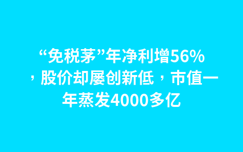 “免税茅”年净利增56%,股价却屡创新低,市值一年蒸发4000多亿1