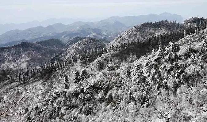 盒马之后,苏宁入局临期折扣商品赛道,零售巨头为何盯上折扣生意1