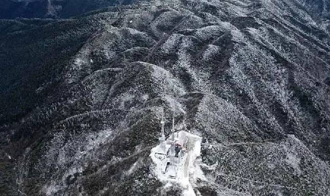 盒马之后,苏宁入局临期折扣商品赛道,零售巨头为何盯上折扣生意2