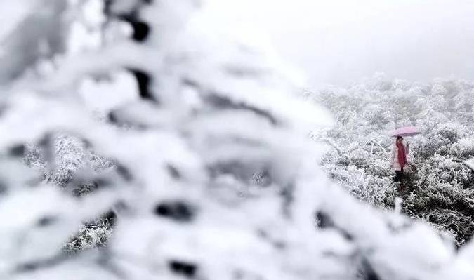 原创 小众赏雪地3：户外爱好者“新宠”，赏梦幻雾凇的绝佳去处5