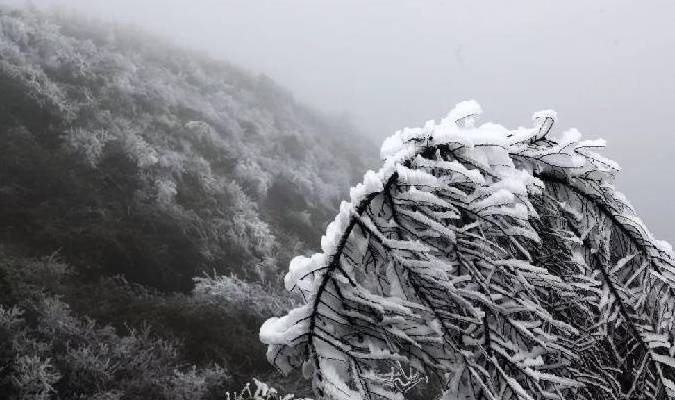 原创 小众赏雪地3：户外爱好者“新宠”，赏梦幻雾凇的绝佳去处9