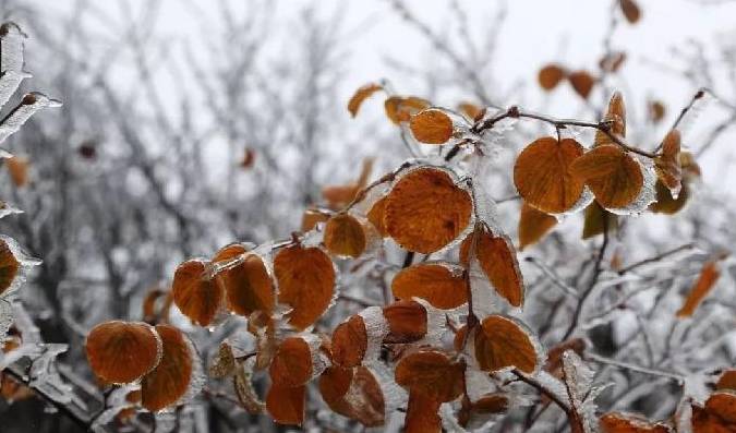 原创 小众赏雪地3：户外爱好者“新宠”，赏梦幻雾凇的绝佳去处10