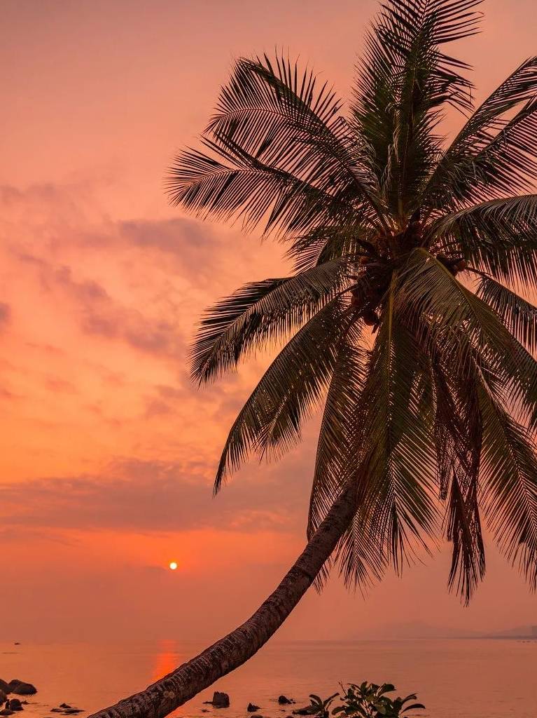 原创 海南版“加州1号公路”,沿途都是媲美马代的天堂海景15